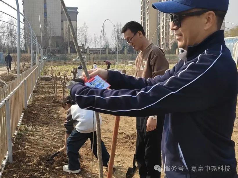 图片29.png
